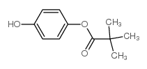 Propanoic acid, 2,2-dimethyl-, 4-hydroxyphenyl ester Structure