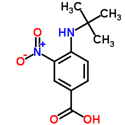 4-TERT-BUTYLAMINO-3-NITRO-BENZOIC ACID Structure