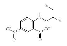 N-(2,3-dibromopropyl)-2,4-dinitro-aniline结构式