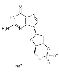 2'-DCGMP SODIUM SALT picture