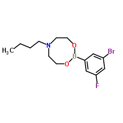 3-Bromo-5-fluorophenylboronic acid N-butyldiethanolamine ester structure