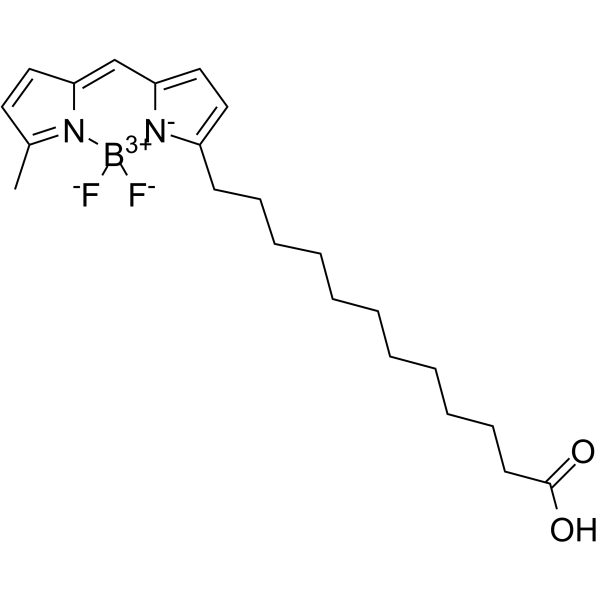 BODIPY 500/510 C1, C12结构式