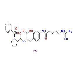 (S)-3-(4-(5-guanidinopentanamido)phenyl)-2-((S)-1-(phenylsulfonyl)pyrrolidine-2-carboxamido)propanoic acid hydrochloride picture