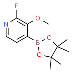 2-Fluoro-3-methoxypyridine-4-boronic acid pinacol ester图片