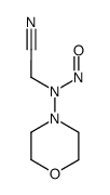 SIN-1A /γCD复合物结构式