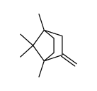 1,4,7,7-tetramethyl-2-methylenebicyclo[2.2.1]heptane结构式