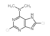 2,8-dichloro-N,N-dimethyl-5H-purin-6-amine Structure