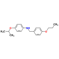 1040692-55-4 structure