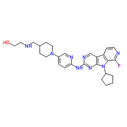 1169694-98-7 structure