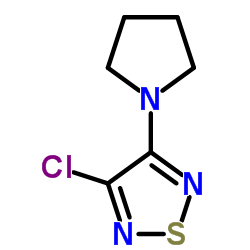 3-Chloro-4-(1-pyrrolidinyl)-1,2,5-thiadiazole picture