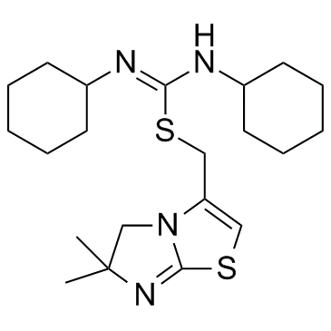 IT1t structure