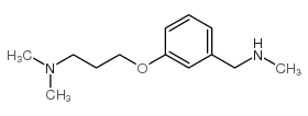 N,N-dimethyl-3-[3-(methylaminomethyl)phenoxy]propan-1-amine picture