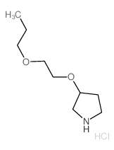 3-(2-Propoxyethoxy)pyrrolidine hydrochloride结构式