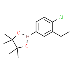 2-(4-Chloro-3-isopropylphenyl)-4,4,5,5-tetramethyl-1,3,2-dioxaborolane picture