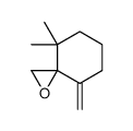 1-Methylene-5,5-dimethyl-7-oxaspiro[5.2]octane结构式