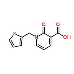 2-oxo-1-(thiophen-2-ylmethyl)-1,2-dihydropyridine-3-carboxylic acid Structure