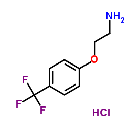 2-[4-(Trifluoromethyl)phenoxy]-ethanamine HCl图片