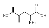 H-γ-亚甲基-DL-Glu-OH结构式