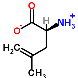 H-Leu(4,5-脱氢)-OH结构式