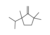 1,1,3-trimethyl-2-methylidene-3-propan-2-ylcyclopentane Structure