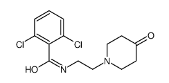 2,6-dichloro-N-[2-(4-oxopiperidin-1-yl)ethyl]benzamide Structure