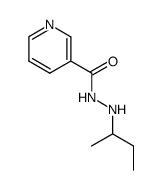 2-sec-Butyl-1-nicotinoyl-hydrazin Structure