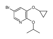 5-bromo-3-cyclopropoxy-2-isopropoxypyridine structure