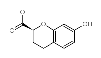 2H-1-BENZOPYRAN-2-CARBOXYLIC ACID, 3,4-DIHYDRO-7-HYDROXY-, (S)- picture