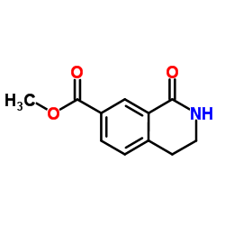 Methyl 1-oxo-1,2,3,4-tetrahydroisoquinoline-7-carboxylate picture