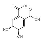 1,2-DICARBOXY-CIS-4,5-DIHYDROXYCYCLOHEXA-2,6-DIENE结构式