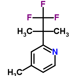 4-Methyl-2-(1,1,1-trifluoro-2-Methylpropan-2-yl)pyridine Structure