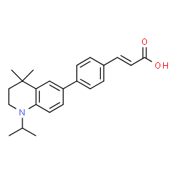 LightOx™26 picture