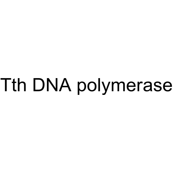 Tth DNA polymerase结构式