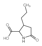 Proline,5-oxo-3-propyl- structure