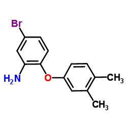 5-Bromo-2-(3,4-dimethylphenoxy)aniline结构式