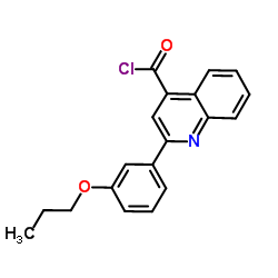 2-(3-Propoxyphenyl)-4-quinolinecarbonyl chloride图片