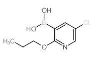 5-氯-2-丙氧基吡啶-3-硼酸图片