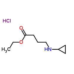 ethyl 4-(cyclopropylamino)butanoate HCl picture