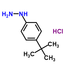1-(4-叔丁基苯)肼盐酸盐图片