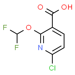 6-氯-2-(二氟甲氧基)烟酸图片