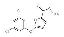 306935-18-2结构式