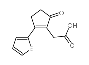 (5-Oxo-2-thiophen-2-yl-cyclopent-1-enyl)-acetic acid结构式