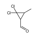 2,2-dichloro-3-methylcyclopropane-1-carbaldehyde Structure