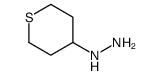 thian-4-ylhydrazine Structure