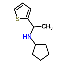 N-[1-(2-Thienyl)ethyl]cyclopentanamine结构式