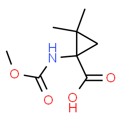 Cyclopropanecarboxylic acid, 1-[(methoxycarbonyl)amino]-2,2-dimethyl- (9CI)结构式