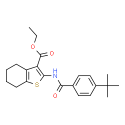 ethyl 2-{[(4-tert-butylphenyl)carbonyl]amino}-4,5,6,7-tetrahydro-1-benzothiophene-3-carboxylate picture