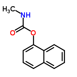 carbaryl Structure