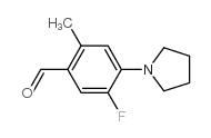 5-氟-2-甲基-4-(1-吡咯烷基)苯甲醛图片