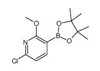 6-Chloro-2-methoxypyridine-3-boronic acid pinacol ester Structure